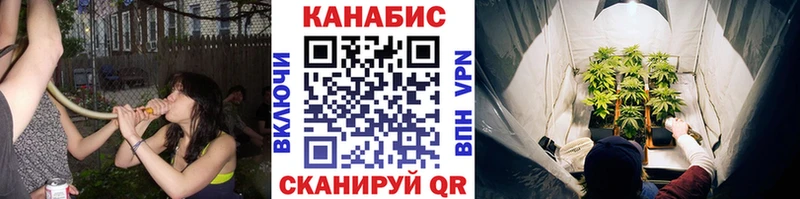Названия наркотиков Можайск Галлюциногенные грибы  Кокаин  Гашиш  Меф мяу мяу  ЭКСТАЗИ  СОЛЬ  Конопля 