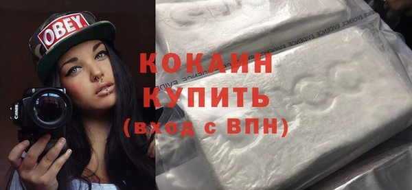 прущие грибы Аркадак