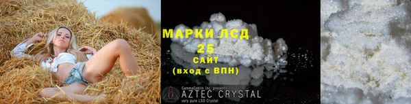 стаф Арсеньев