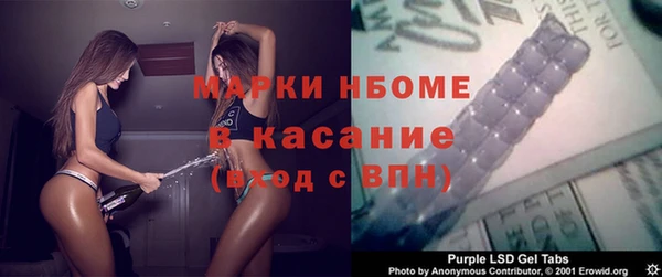 прущие грибы Аркадак