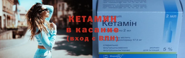 прущие грибы Аркадак