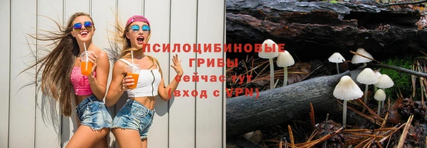 прущие грибы Аркадак