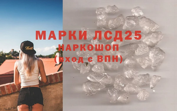 стаф Арсеньев