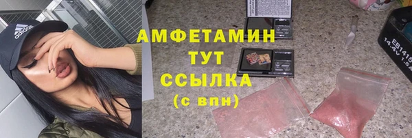 прущие грибы Аркадак