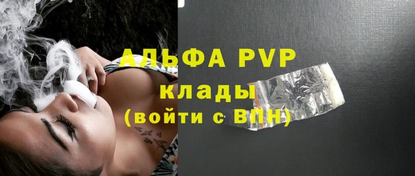 прущие грибы Аркадак