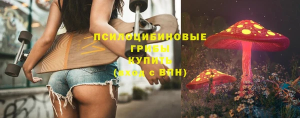 дмт Армянск