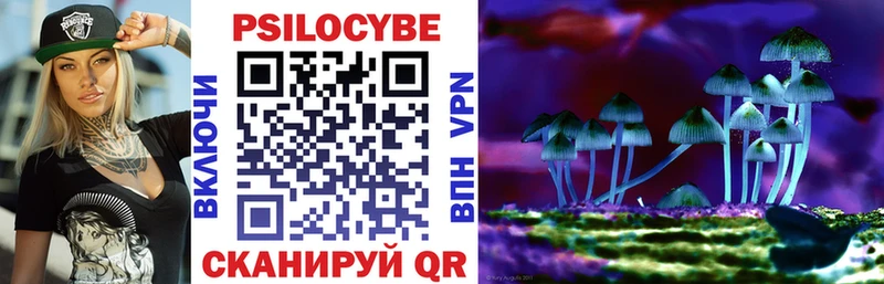 Галлюциногенные грибы Psilocybe hydra маркетплейс Можайск как найти закладки